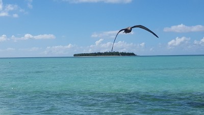 rodrigues - mauritius