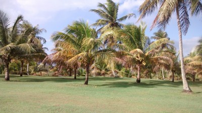 sambava - madagaskar