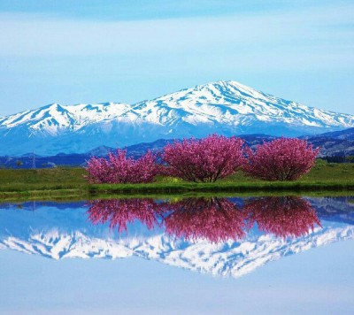 podprefektura shōnai - japonia