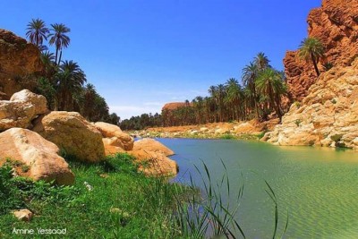 dżanat - algieria