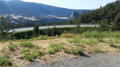 williams lake - kanada