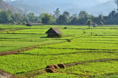 prowincja mae hong son - tajlandia